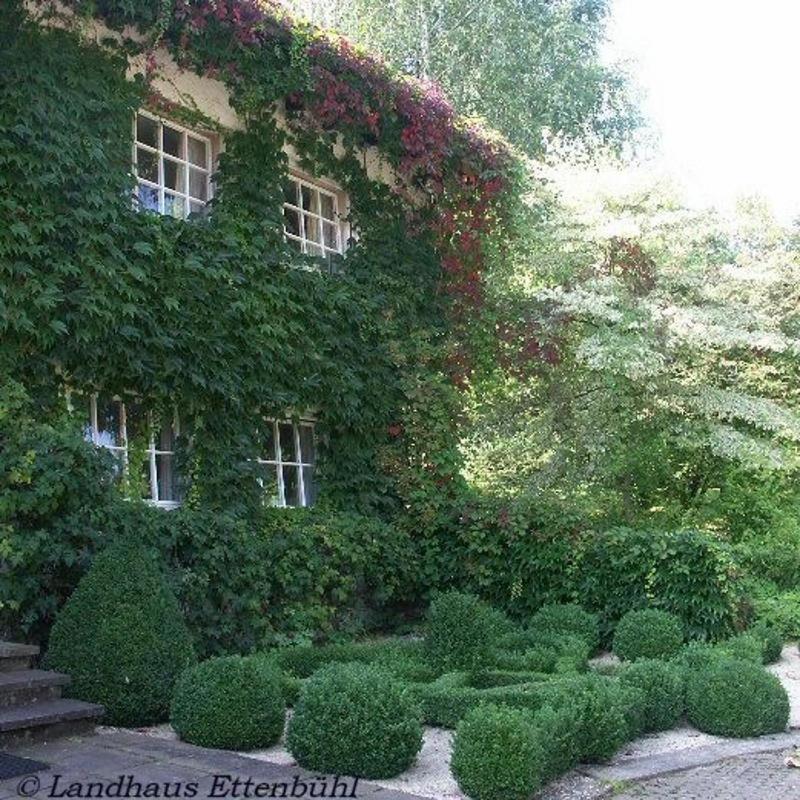 Landhaus Ettenbuehl Bed And Breakfast Bad Bellingen Exterior photo